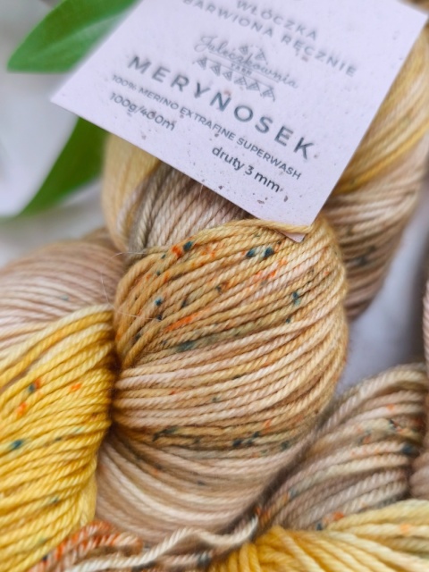 merynosek ręcznie barwiona włóczka merino juleczkownia