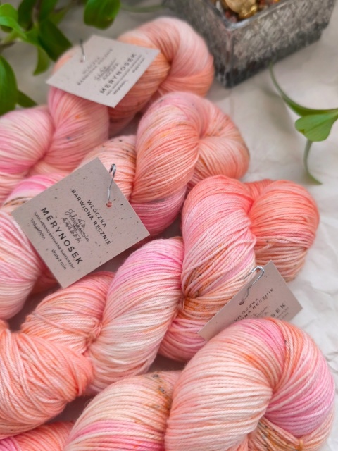 merynosek ręcznie barwiona włóczka merino juleczkownia