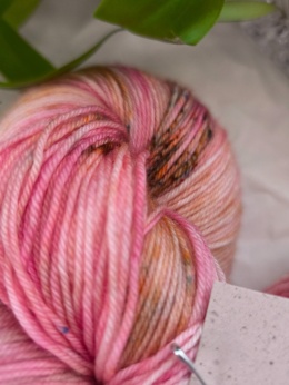 WSPARCIE - merynosek